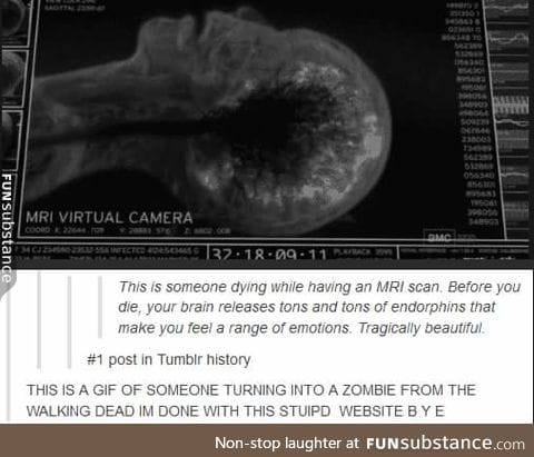 Tumblr strikes again