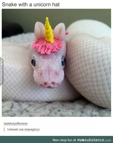 Unisnek