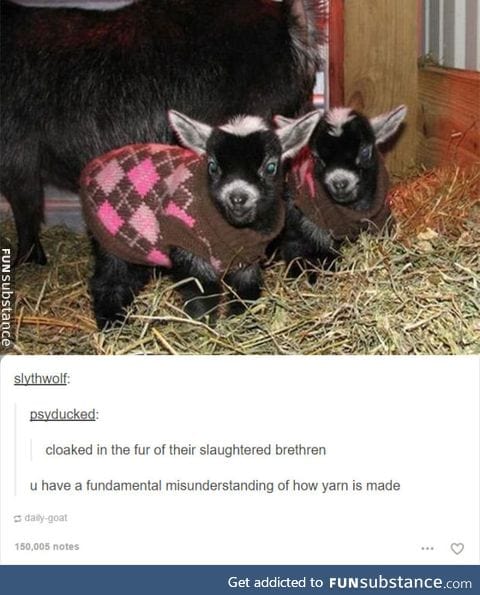 Slaughterhouse.