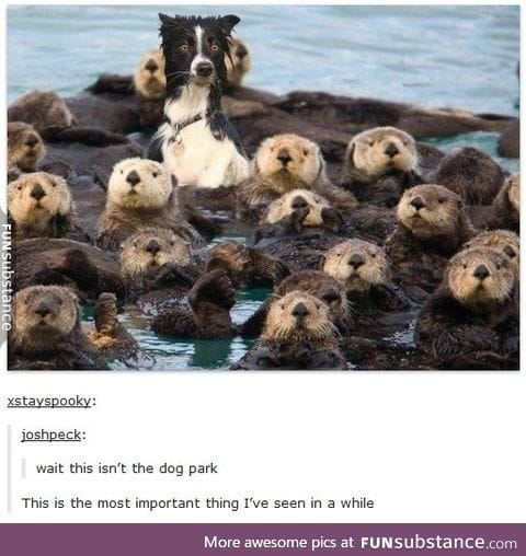Wrong neighborhood!