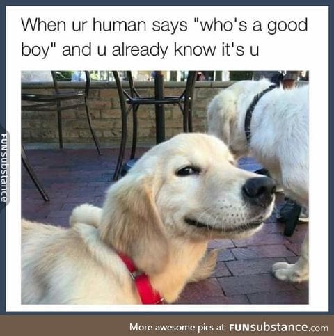 That smirking face