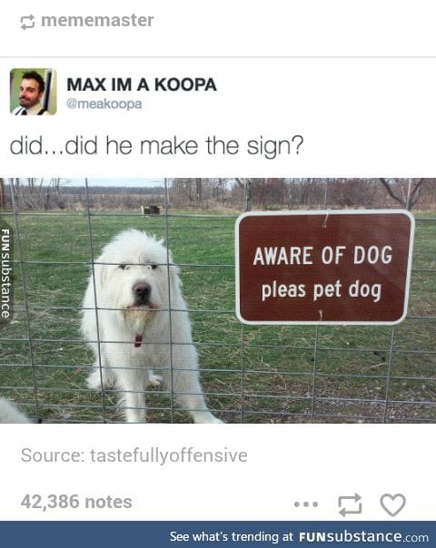 Pet the doggo