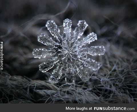 A single snowflake