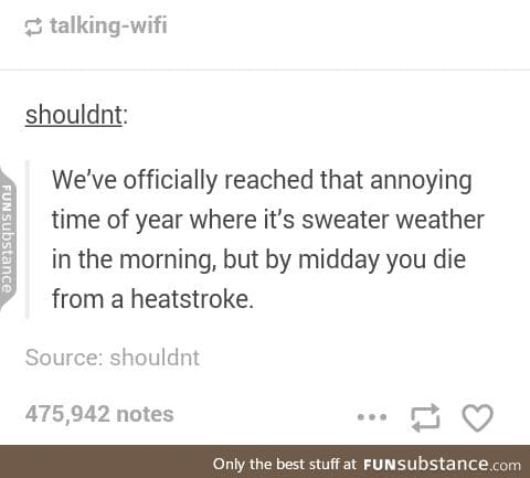 Why can't it just be sweater weather 24/7