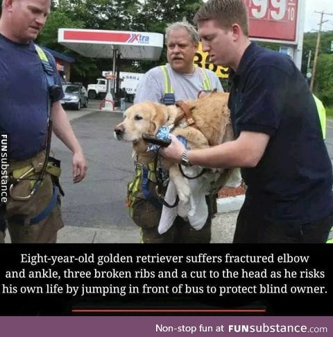 He is the good boy