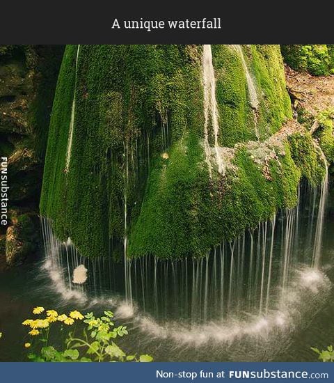 Mushroom waterfall