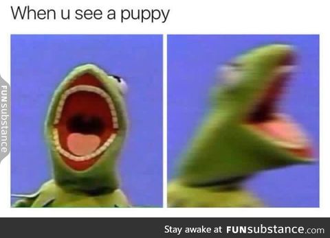 PUPPYYYYY!!!