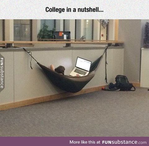 Here we see the college student in the wild