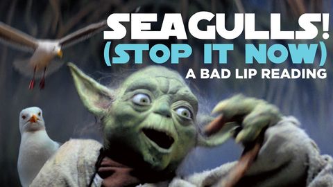 Seagulls (stop it now)