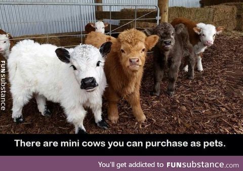 I'm starting a farm