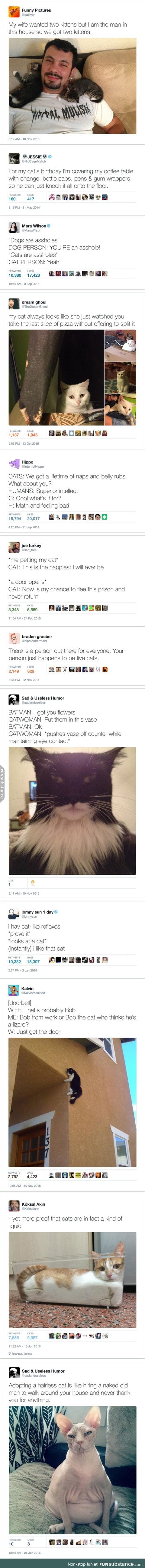 Funny cat tweets
