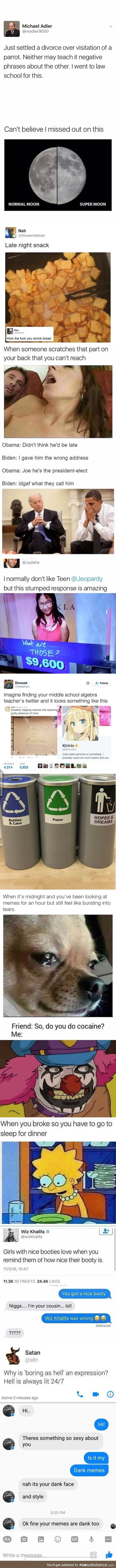 Meme comp