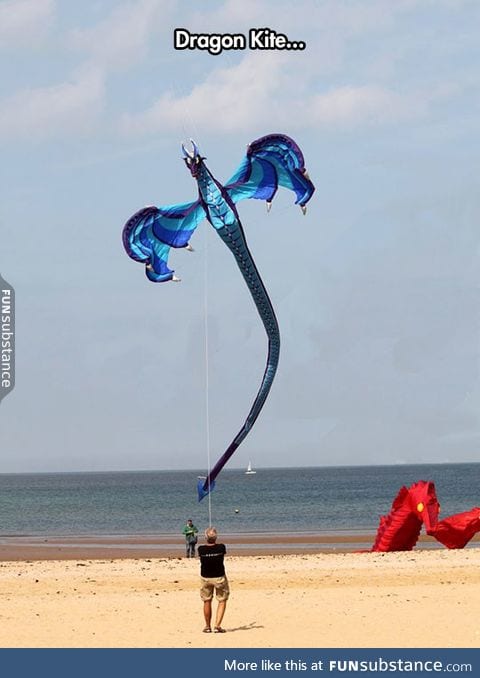 Majestic kite