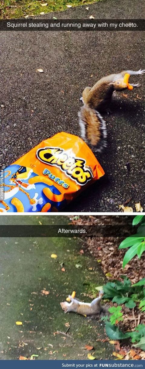 Can't Handle The Cheeto Joy