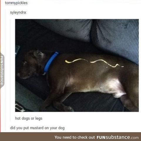 Hot diggity dog