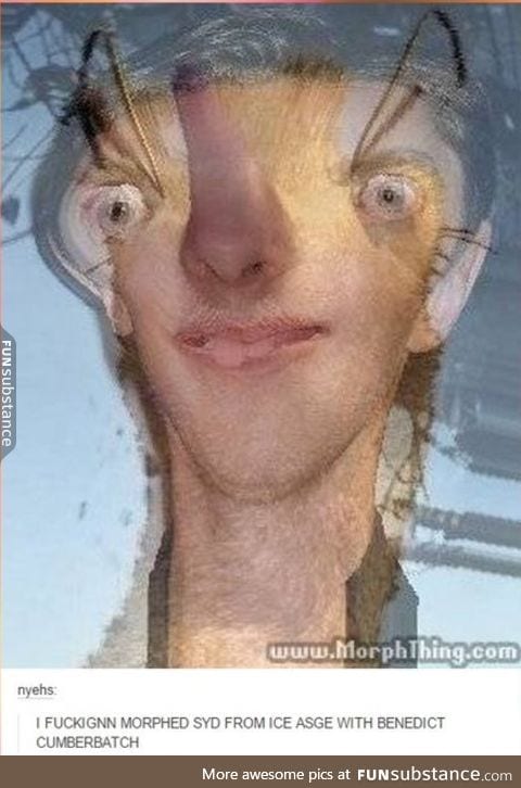 Morph