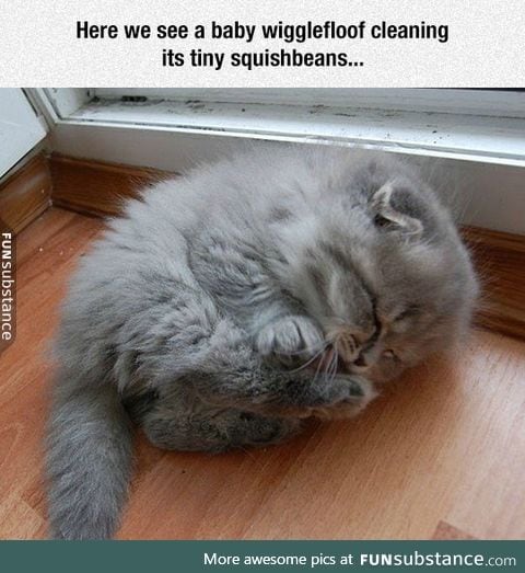 Good Lord That's Adorable