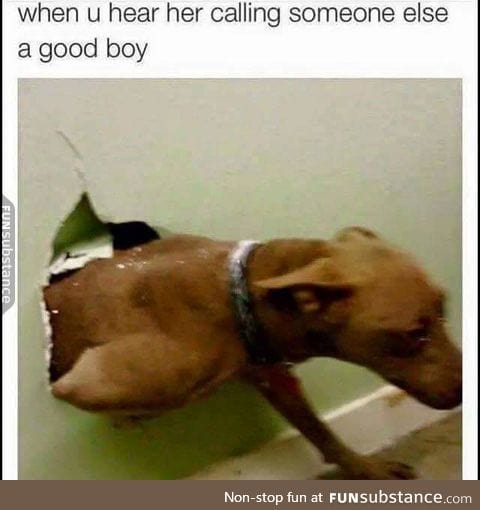 "There can only be one good boy in this house. And that good boy will be me!"