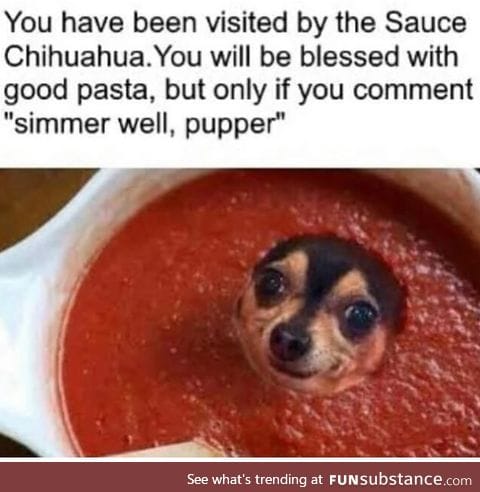 Simmer well pupper