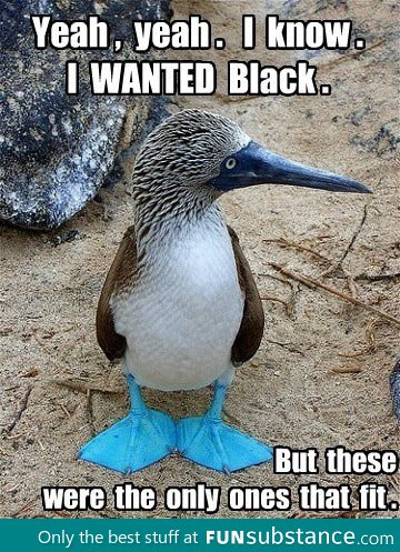 You don't always get what you want