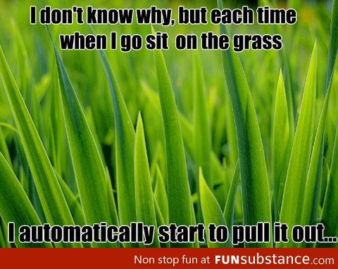 Sitting on the grass