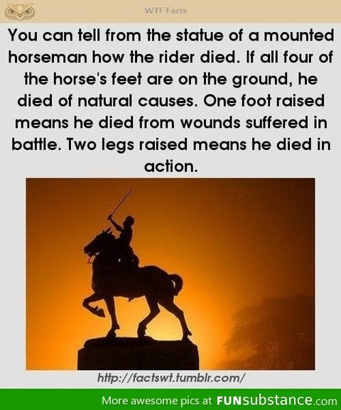 Statue facts