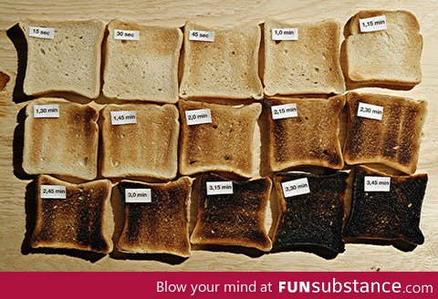 Toast guide