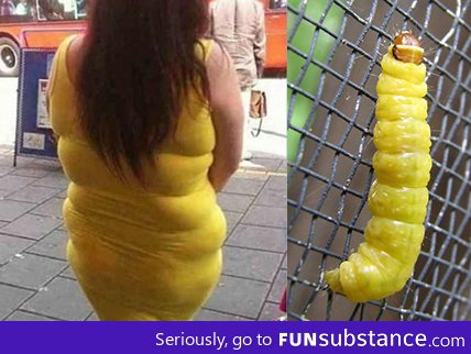 Know your dress size