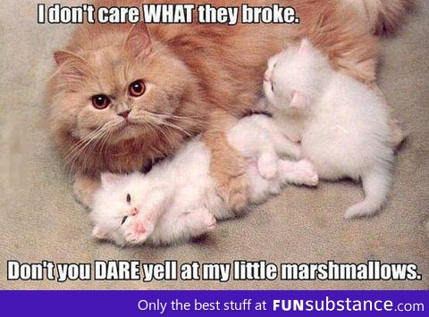 Overprotective moms