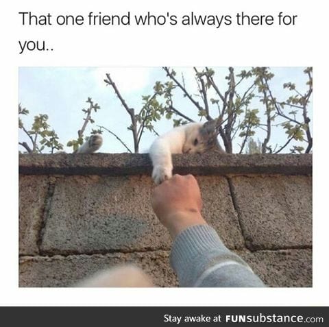 Best friend