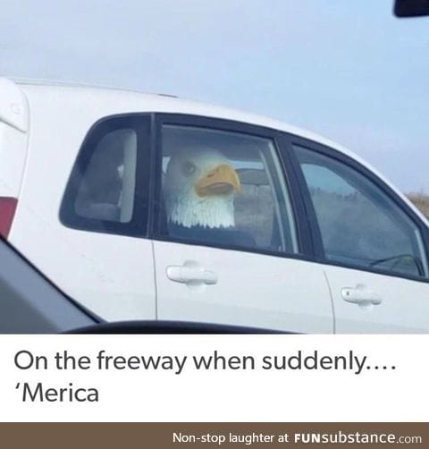 Freedom