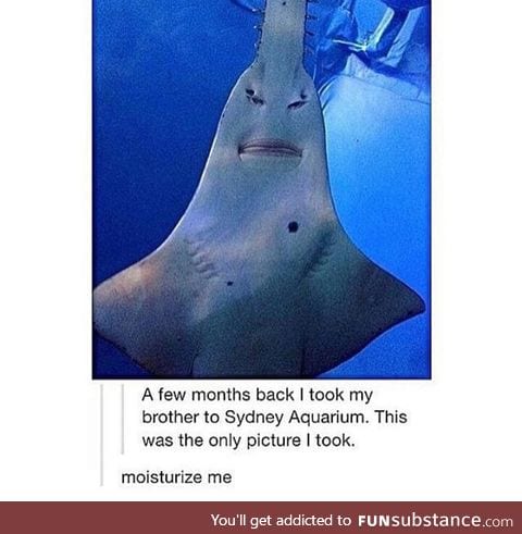 Moisturise me