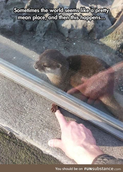 Finding a helping hand