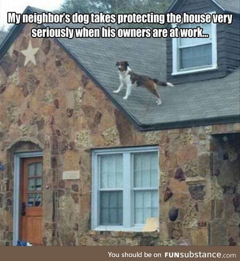 The guardian