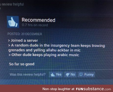 Helpful steam reviews are helpful