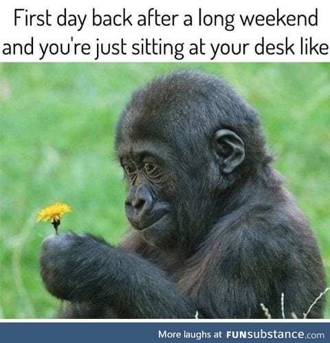 long weekends