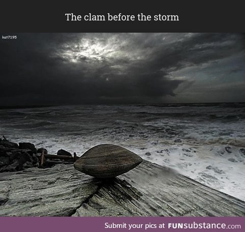 The clam before the storm