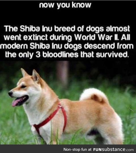 I N C E S T . I S . B E S T
