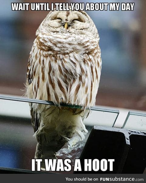 He's So Delighted