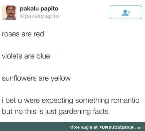 This ain't something romantic,it's a god damn arms race