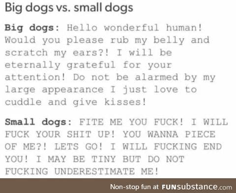 Small dogs are lil shits