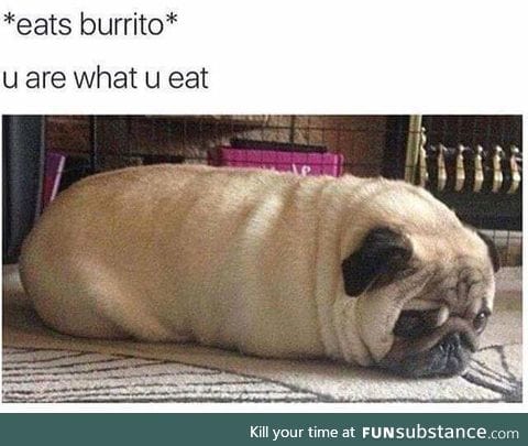 I'm what I eat... the photo is accurate