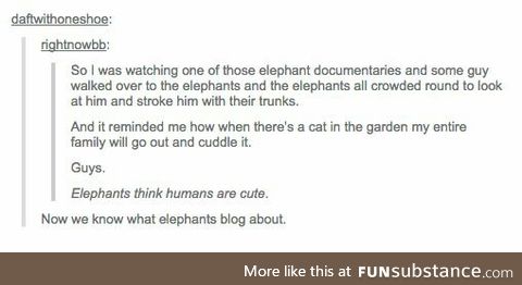 I wonder if elephants look at us online in an AU
