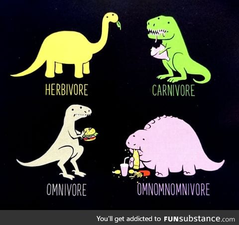 Different kinds of dinosaur