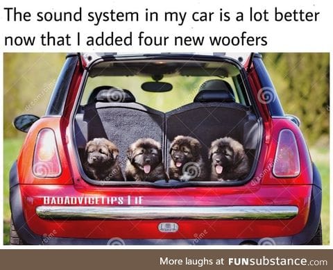 New woofers