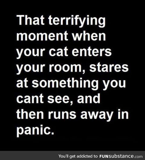 Terrifying moment