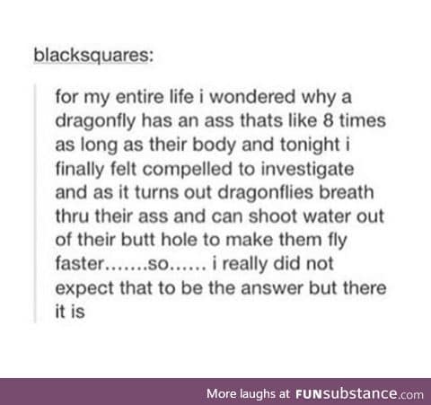 They fly using ass juice wtf