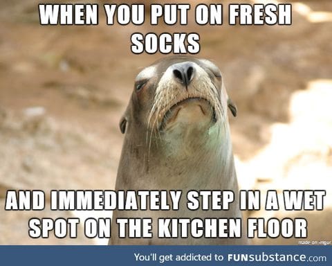 Its like the floor knows