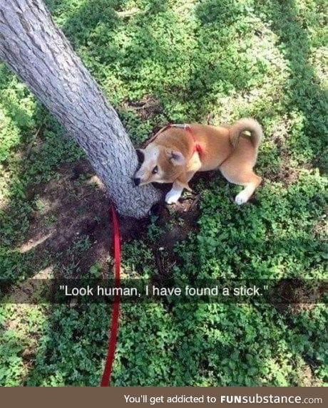 I seem to have bitten off a little more than I can chew