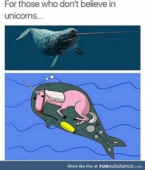 Unicorns are real!